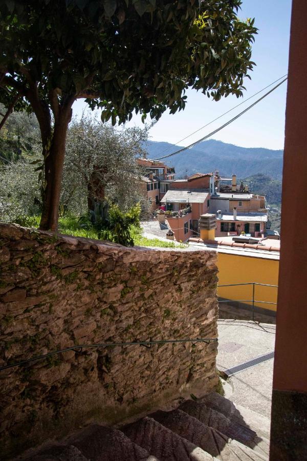 Le Case Di Petra Vignana Exterior photo
